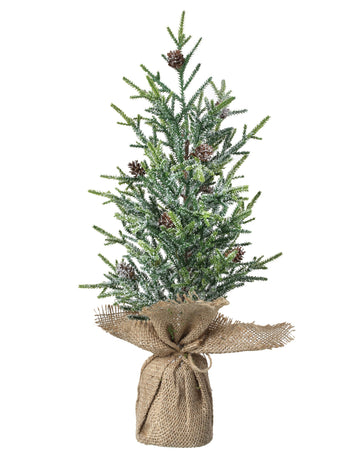 19" Frosted Mini Fir with Pinecones in Burlap