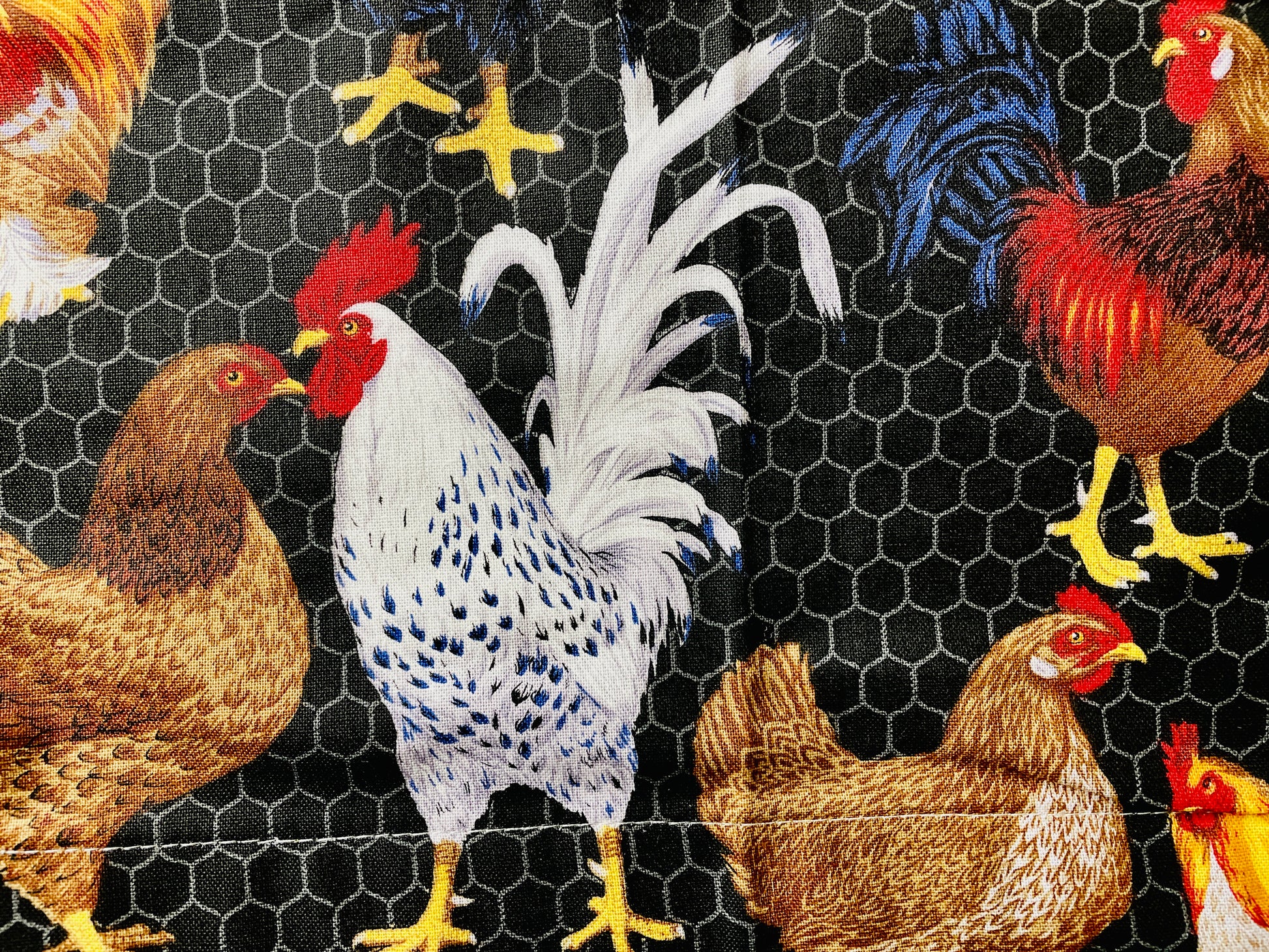 Two Medium Sized Ladies Kathleen Apron chickens wire coop raising farm fabric