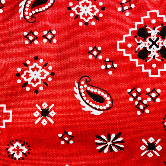 Amanda Bright Designs Montana Red Bandana Print Apron