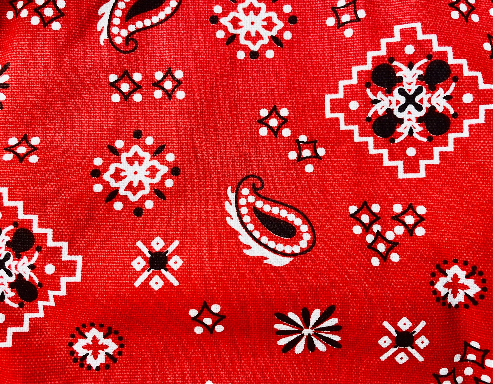 Amanda Bright Designs Montana Red Bandana Print Apron