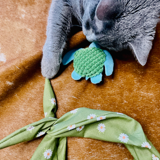 Amanda Bright Designs Green Daisy Headband with shop cat on rug