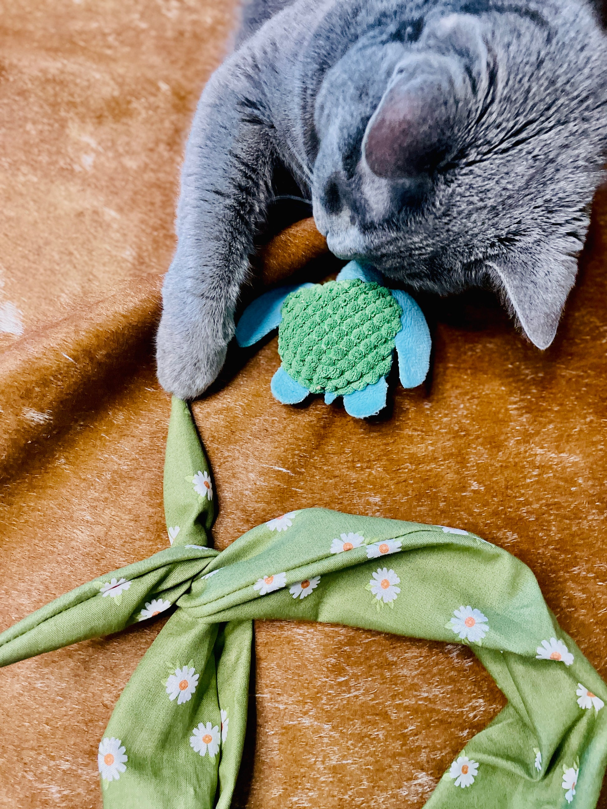 Amanda Bright Designs Green Daisy Headband with shop cat on rug