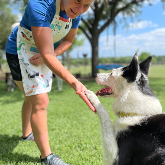 Two Medium Sized Ladies Maribeth Dog Lovers Apron Agility Trainer Doing Tricks with Border Collie wearing apron