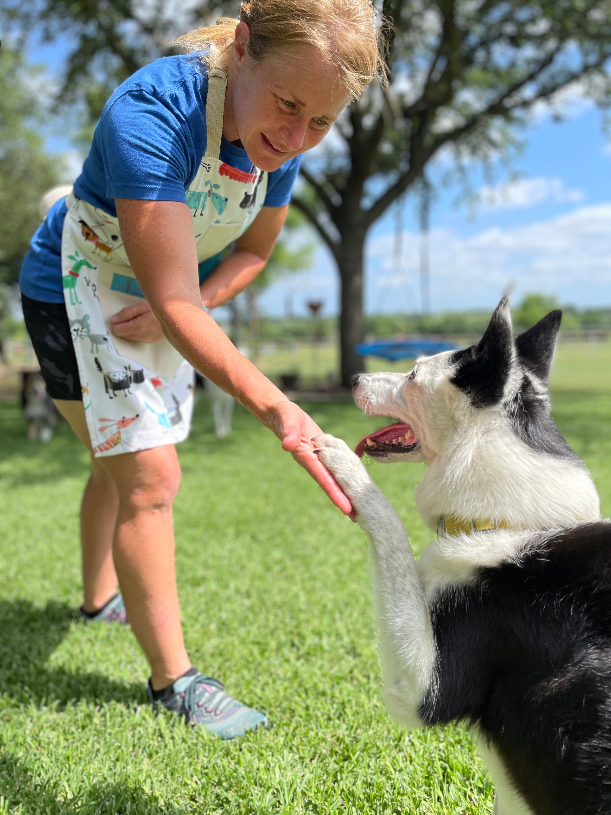Two Medium Sized Ladies Maribeth Dog Lovers Apron Agility Trainer Doing Tricks with Border Collie wearing apron
