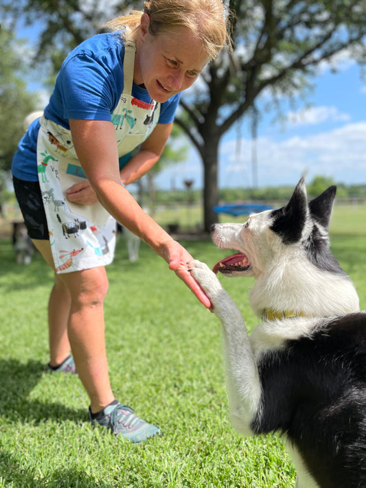 Two Medium Sized Ladies Maribeth Dog Lovers Apron Agility Trainer Doing Tricks with Border Collie wearing apron