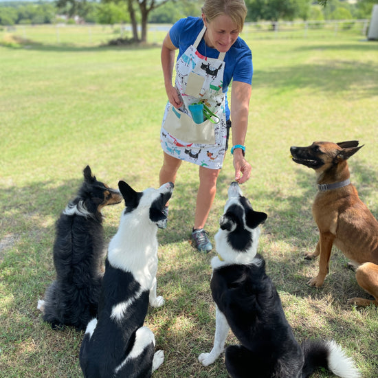 Two Medium Sized Ladies dogs sitting with owner in colorful playful dog kitchen apron Maribeth lifestyle