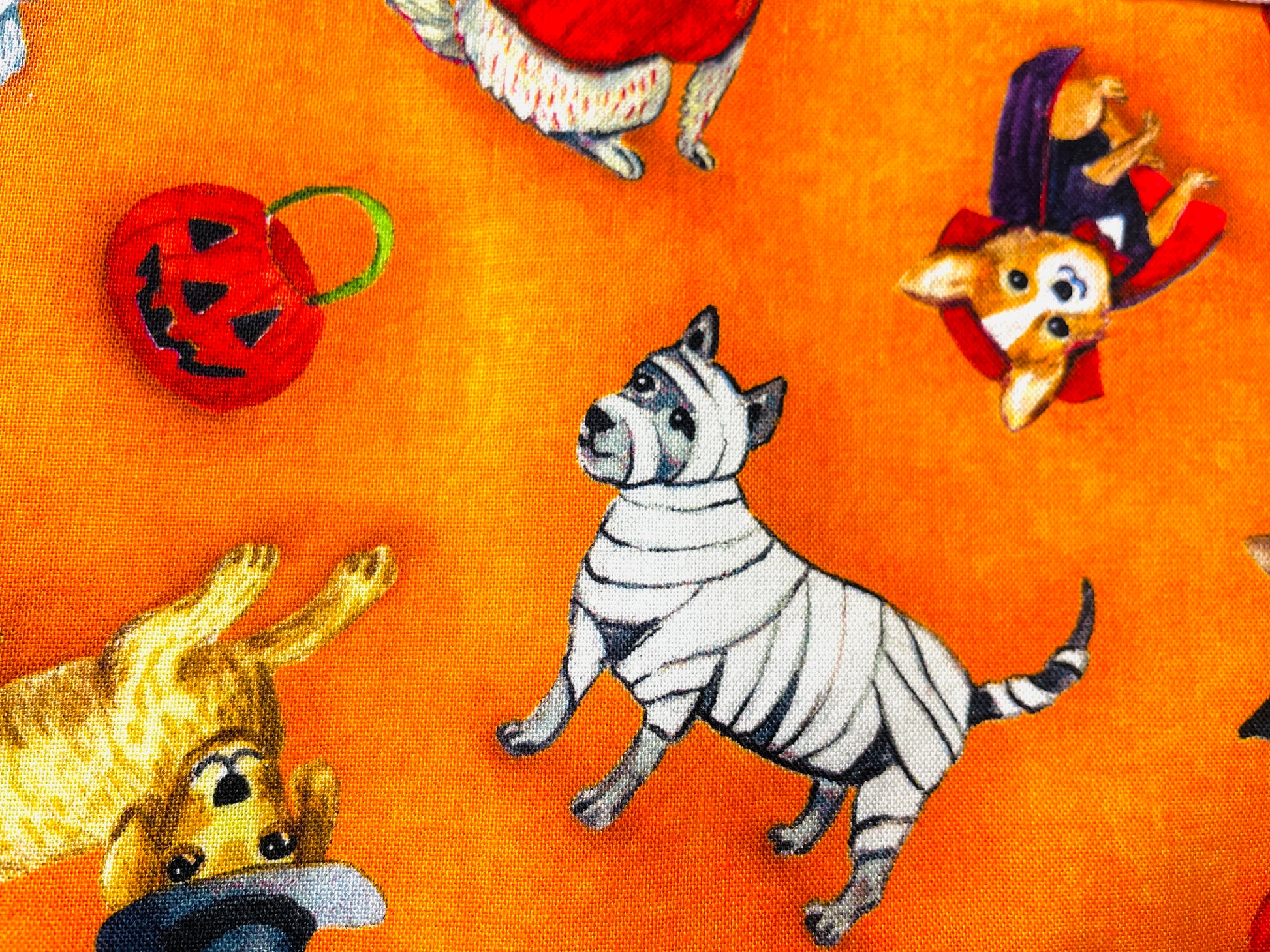 Two Medium Sized Ladies Olivia Howl-O-Ween vintage cute dog costume apron pumpkins ghosts vampires mummies wizards