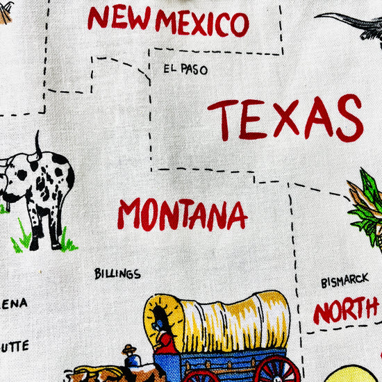 Two Medium Sized Ladies Sadie kitchen apron 50 states and their capitals historic industries road trip American heartland travel Conestoga wagon oil well longhorn airplane canoe cheese log cabin fabric pattern 